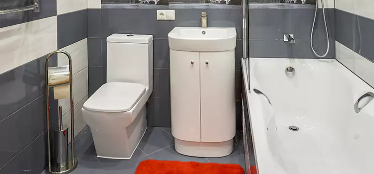 Hansgrohe Shaving Mirror Menomonee Falls